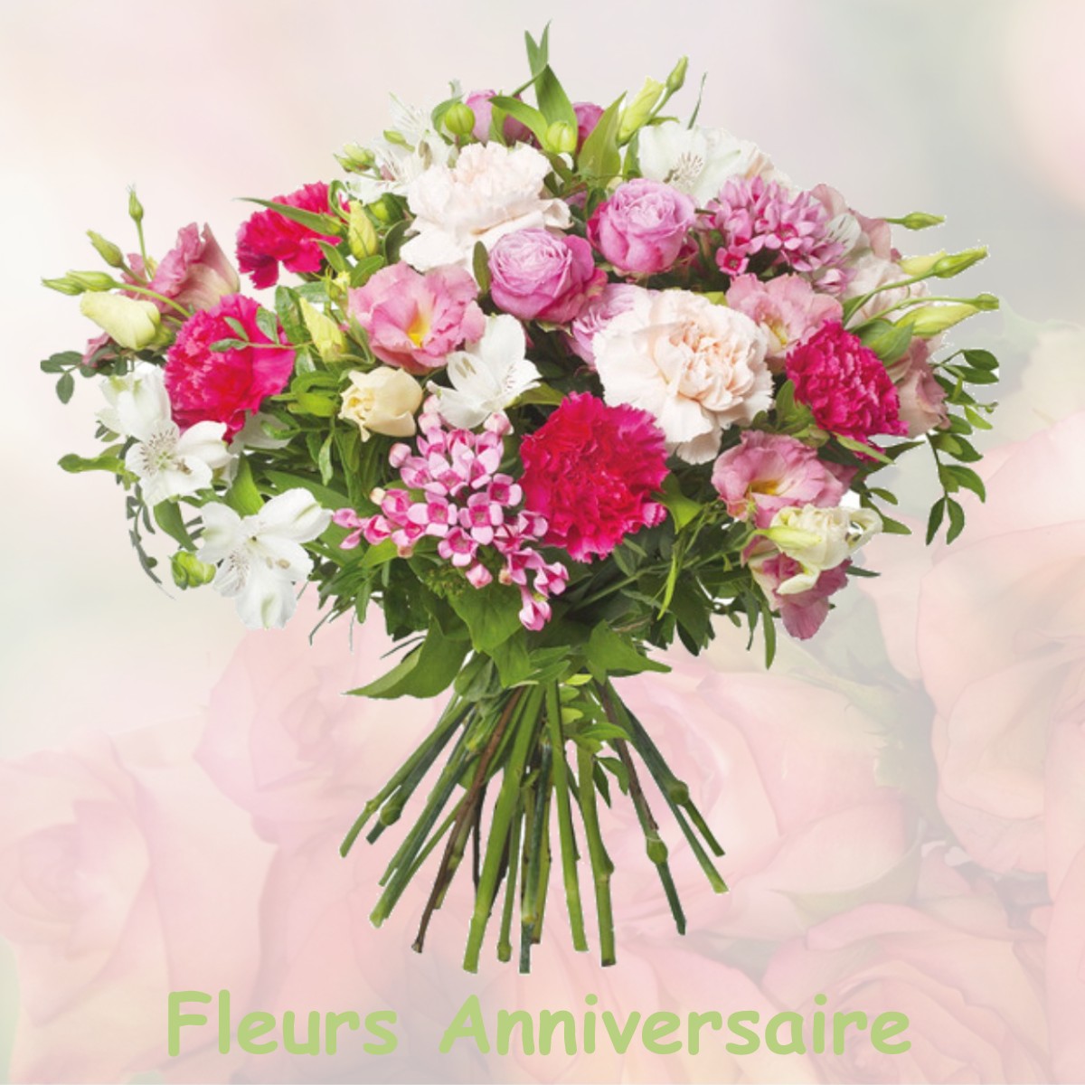 fleurs anniversaire BORMES-LES-MIMOSAS